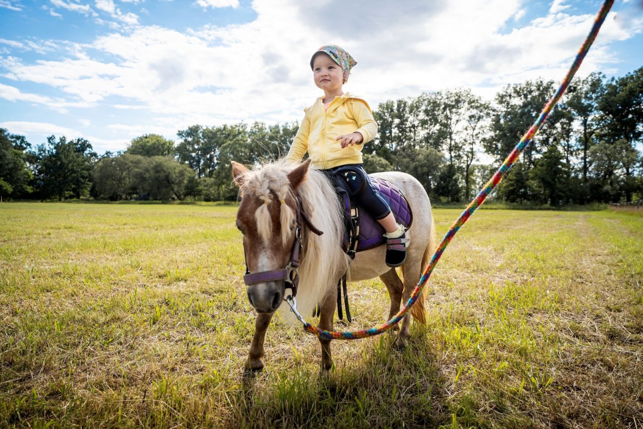 Experiences with horses